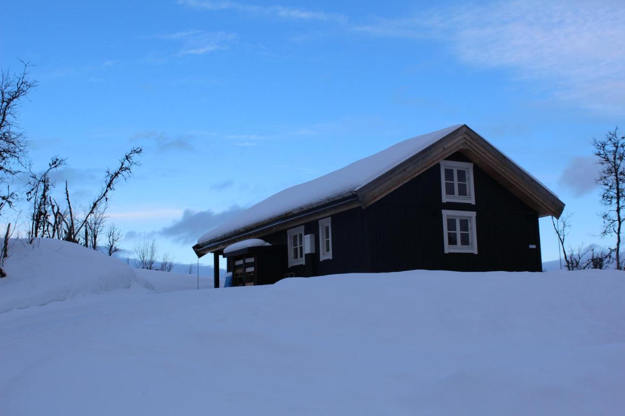 Linnaeus - 6 Person Cabin Al Exteriér fotografie