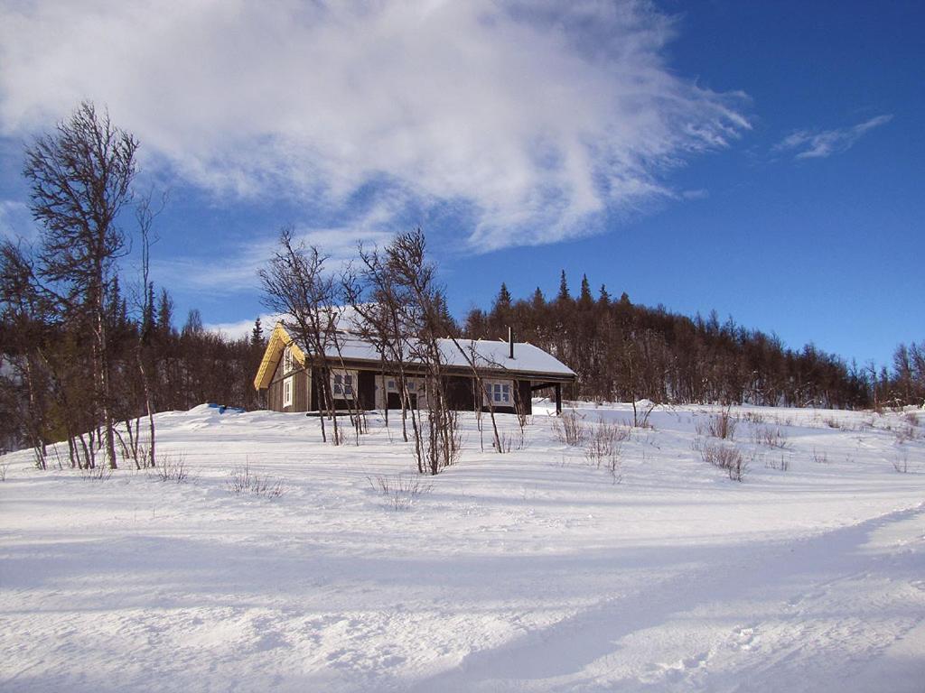 Linnaeus - 6 Person Cabin Al Exteriér fotografie