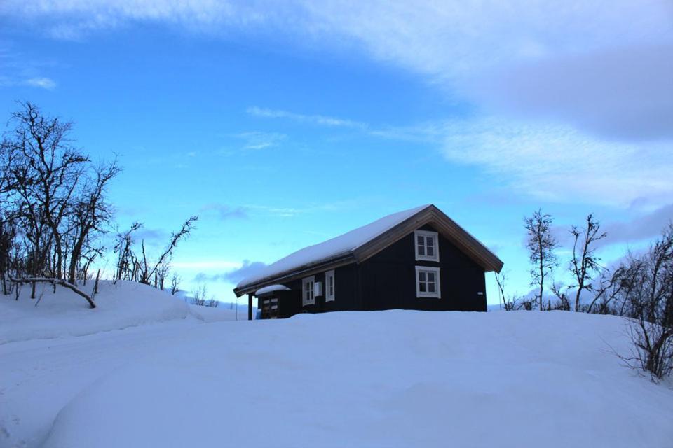 Linnaeus - 6 Person Cabin Al Exteriér fotografie